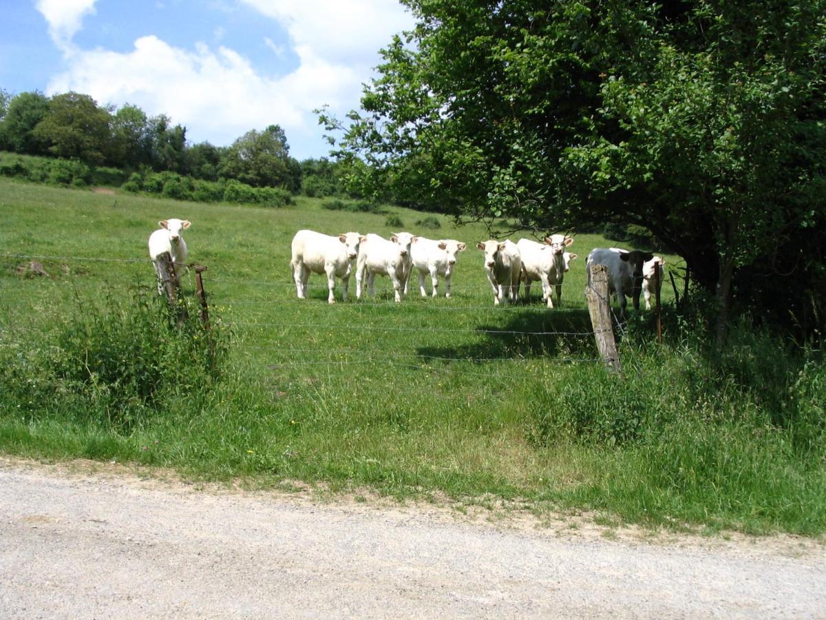 4 Collines Bed & Breakfast Hagnicourt Exterior foto