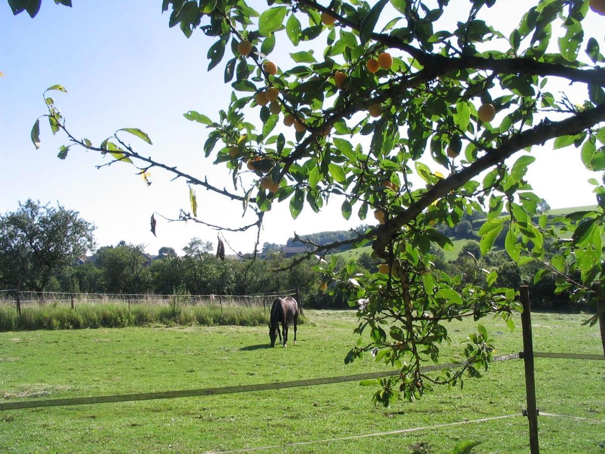 4 Collines Bed & Breakfast Hagnicourt Exterior foto